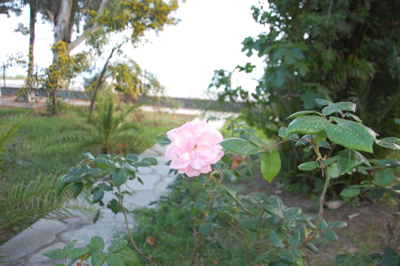 Villa Miranda ニキティ エクステリア 写真